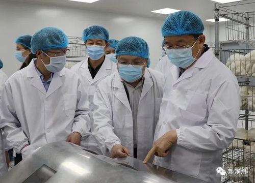 滨州新建12年制学校，优质教育资源再扩容