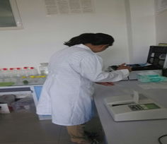 筑牢安全防线 守护舌尖安全——察布查尔县农产品质量检测中心扎实推进蔬菜农残检测工作